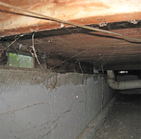 Inside a low crawl space under a house