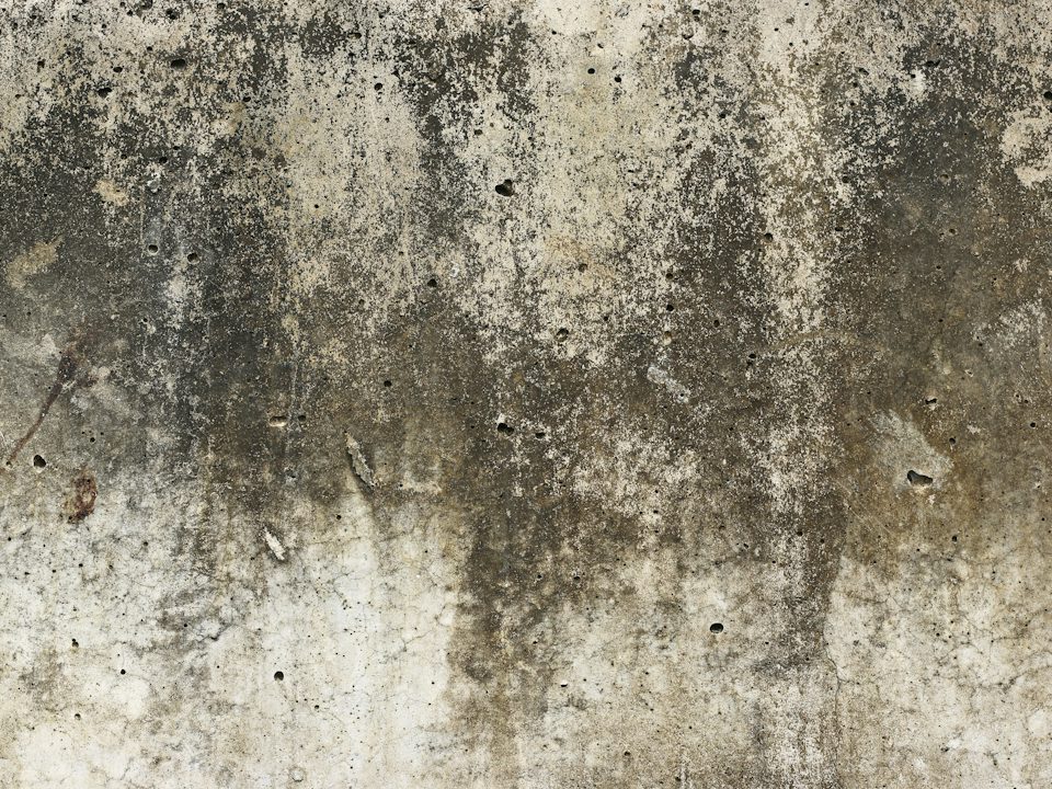 A damp, stained concrete wall