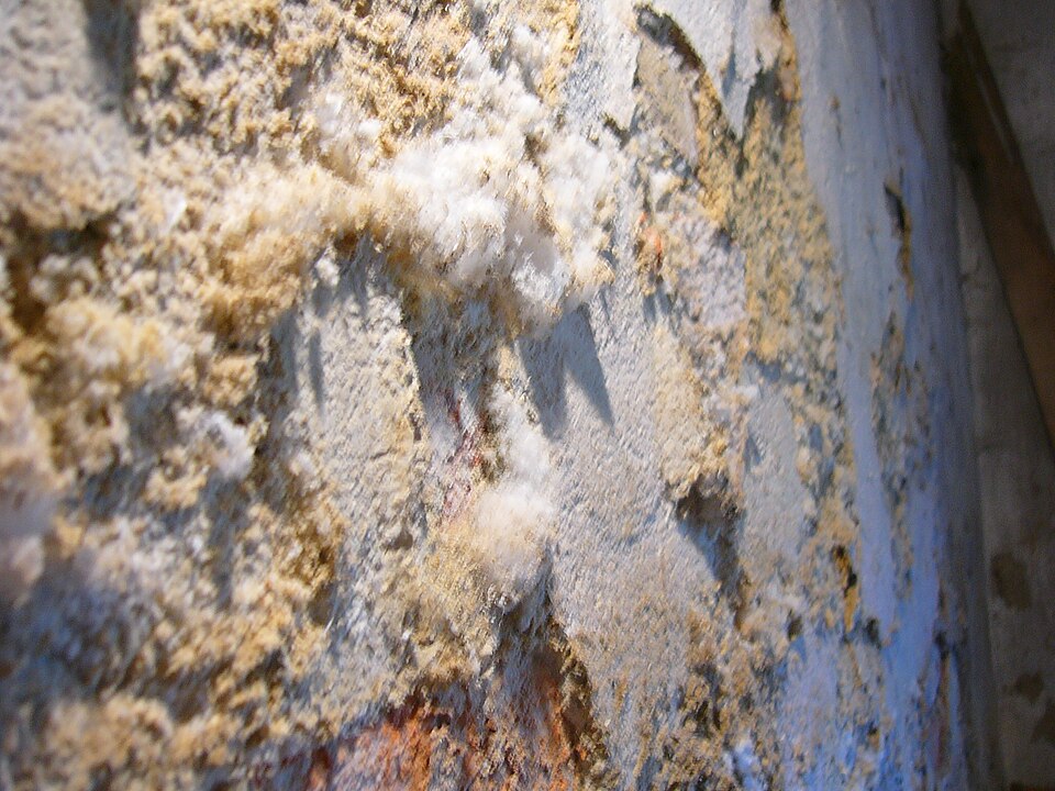 White efflorescence salts on a masonry wall